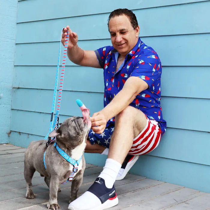 Frenchiestore Adjustable Pet Health Strap Harness | Bombastic