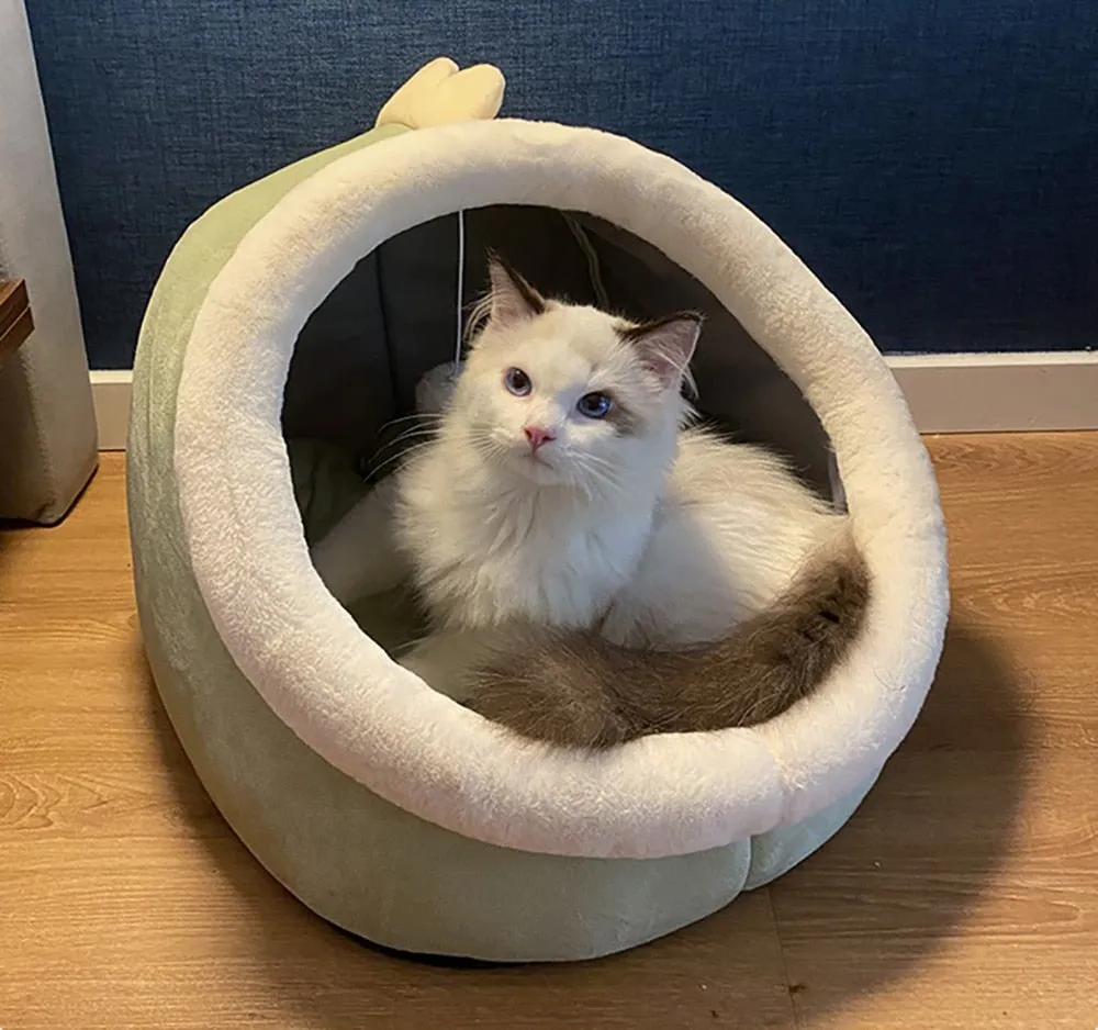 Funki Buys | Pet Beds | Cat Bed | Warm Cozy Kitten Cat Cave