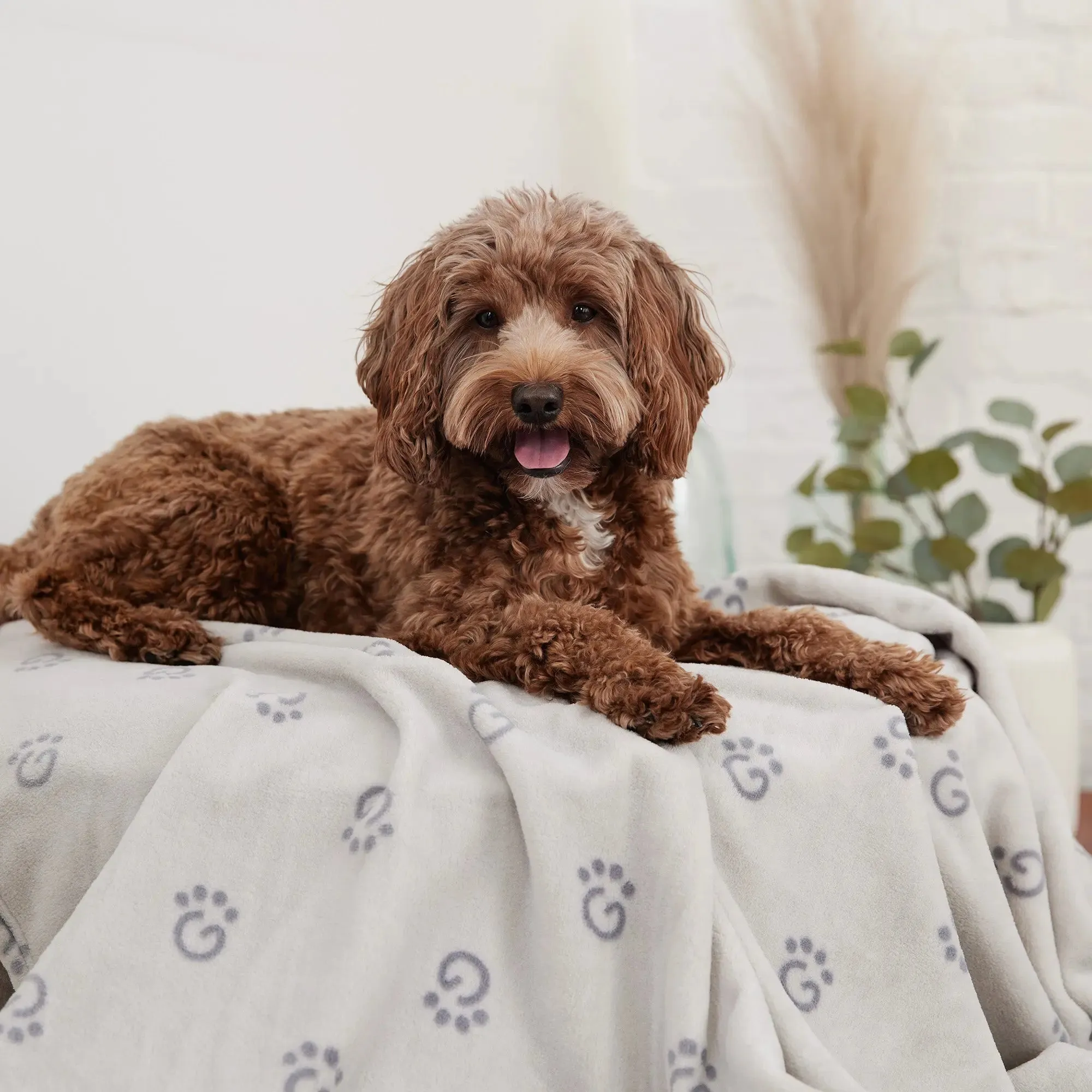 GF PET® Logo Blanket | Light Grey