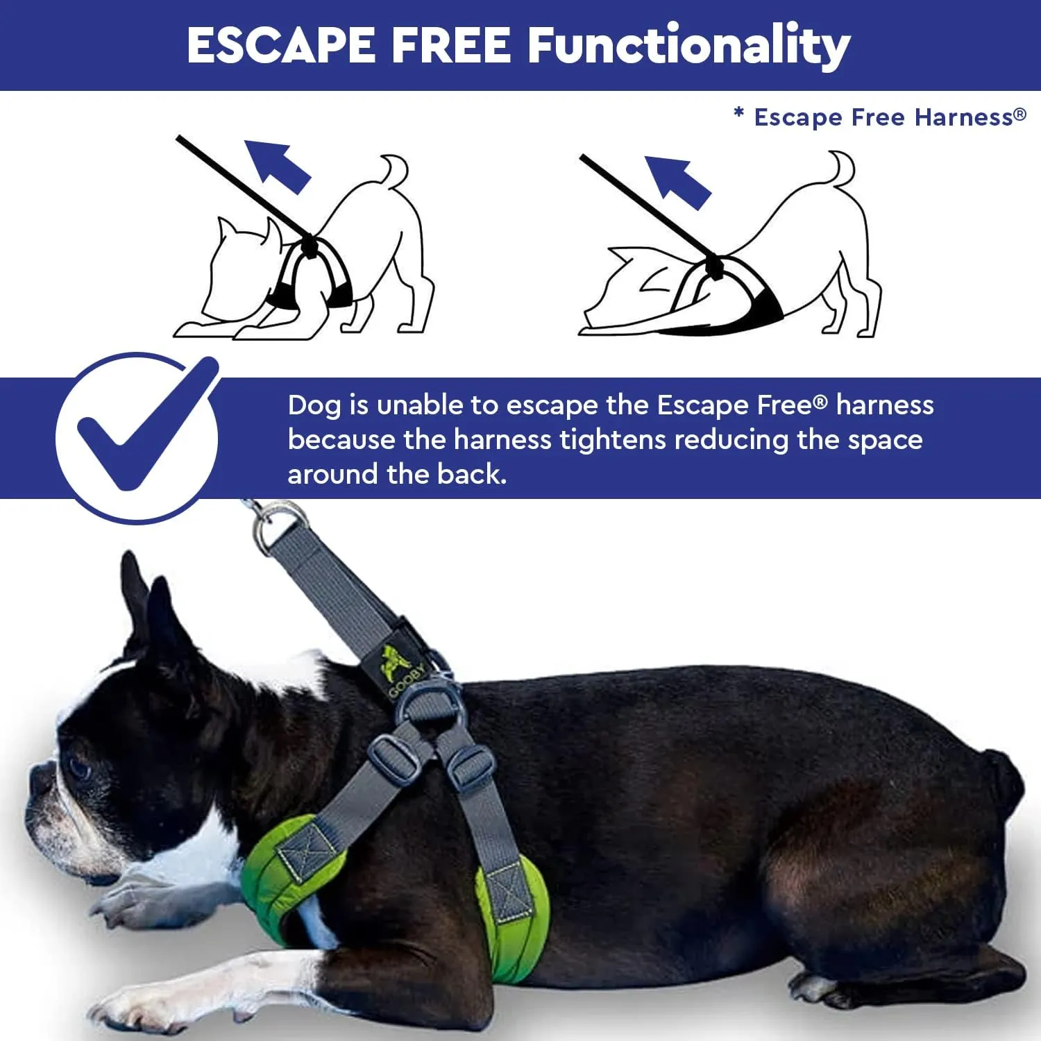 Gooby Escape Free Memory Foam Harness - Purple, Medium - No Pull Step-in Small Dog Harness with Four Point Adjustment - Perfect on The Go Dog Harness for Medium Dogs No Pull and Small Dogs