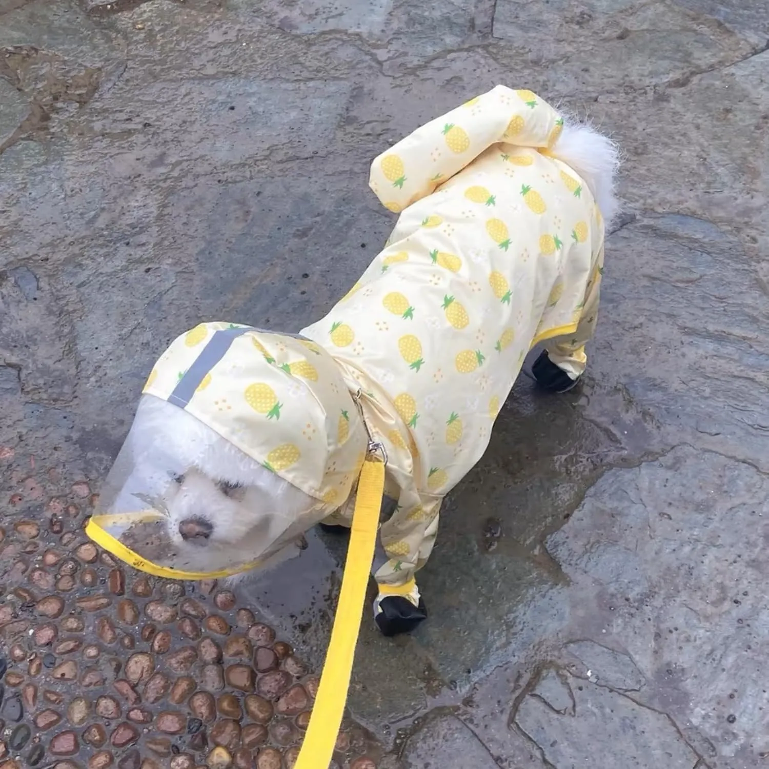 HDKUW Small Dog Raincoat & Rain Shoes Set,Full-Coverage Reflective Dog Jacket with D-Ring,Dogs Raincoat with Rain Boots Set for Puppy Small Dogs Pineapple XL