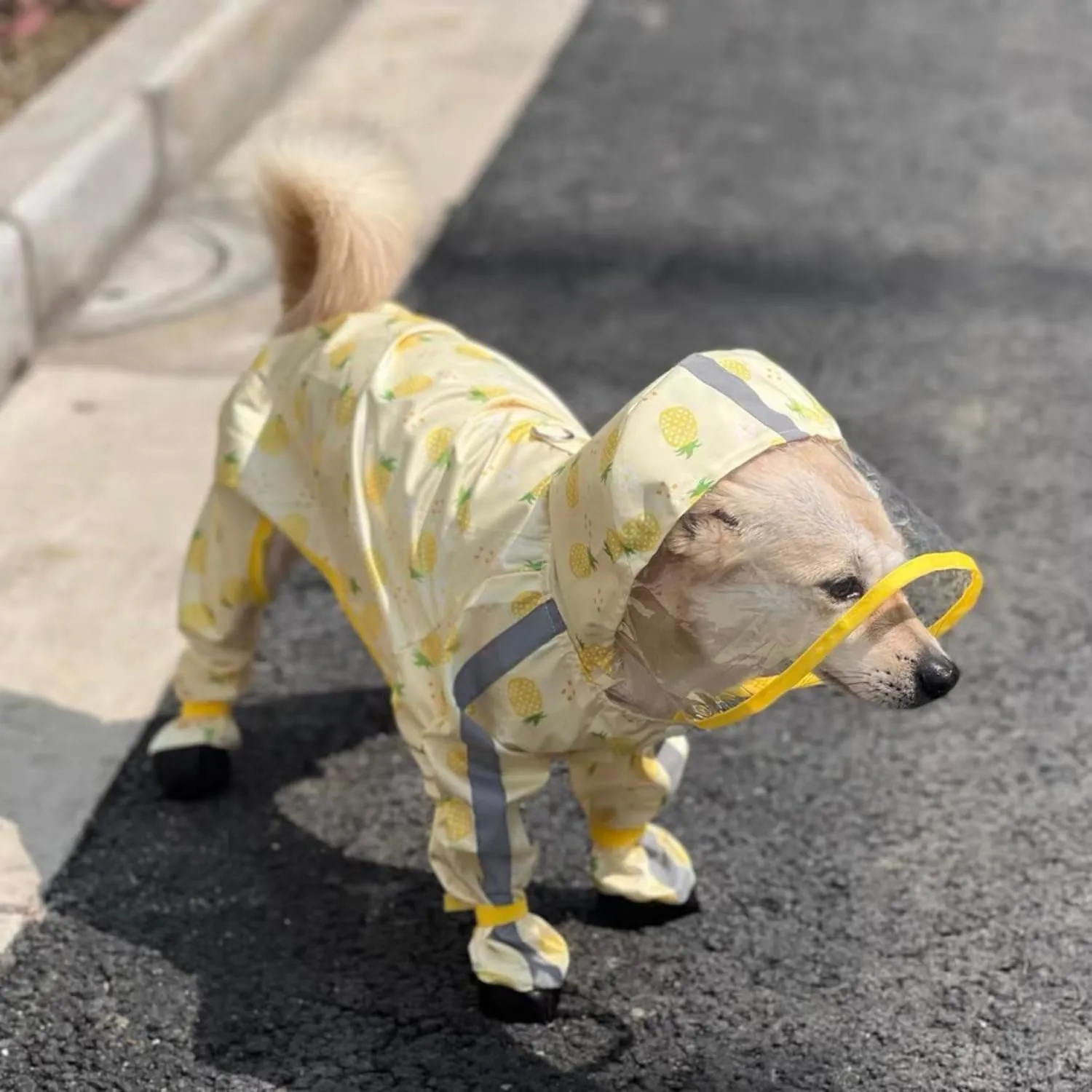 HDKUW Small Dog Raincoat & Rain Shoes Set,Full-Coverage Reflective Dog Jacket with D-Ring,Dogs Raincoat with Rain Boots Set for Puppy Small Dogs Pineapple XL