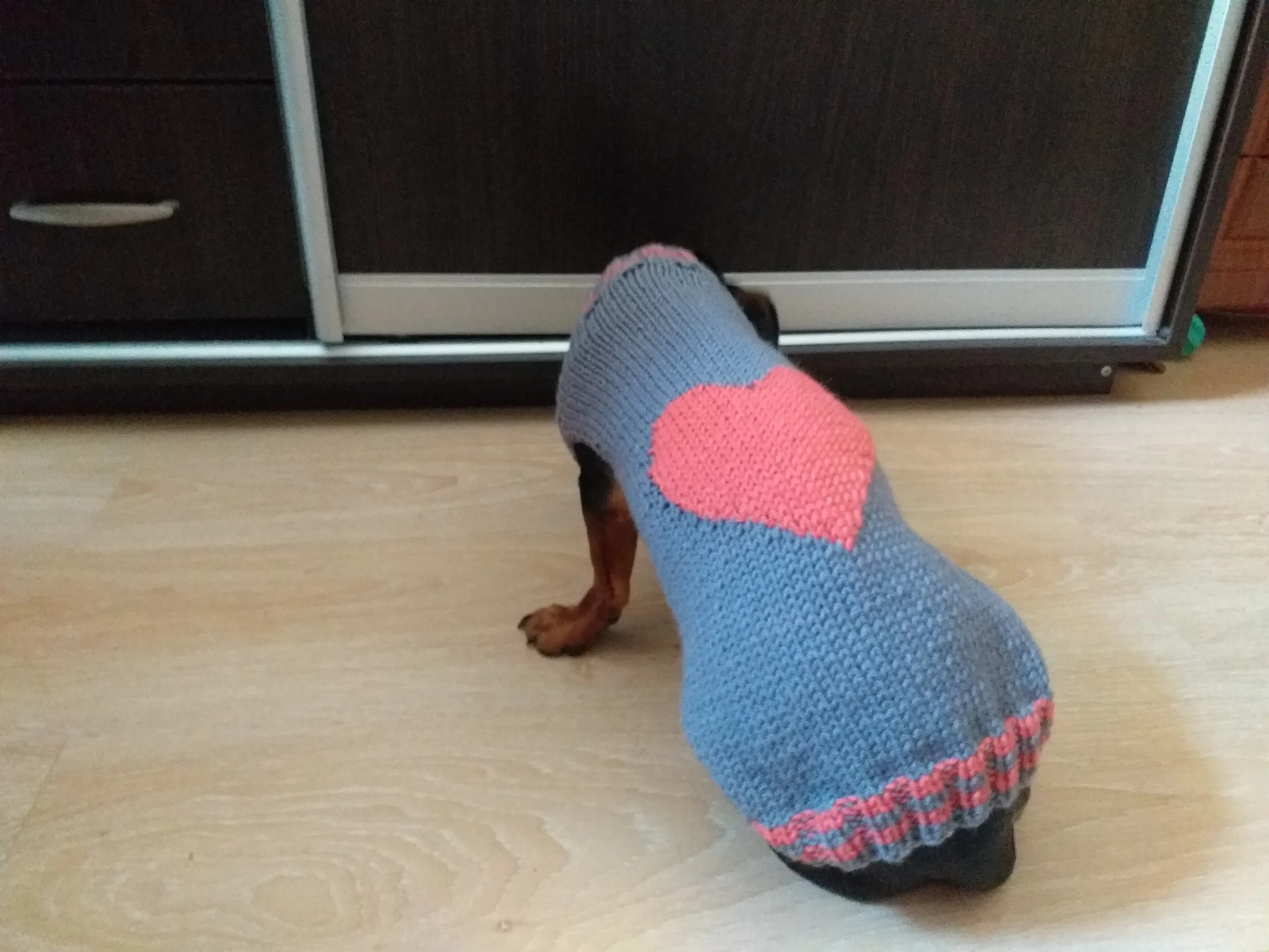 Heart Pet Clothes, Heart Dog Jumper, Gift for Pet Lovers