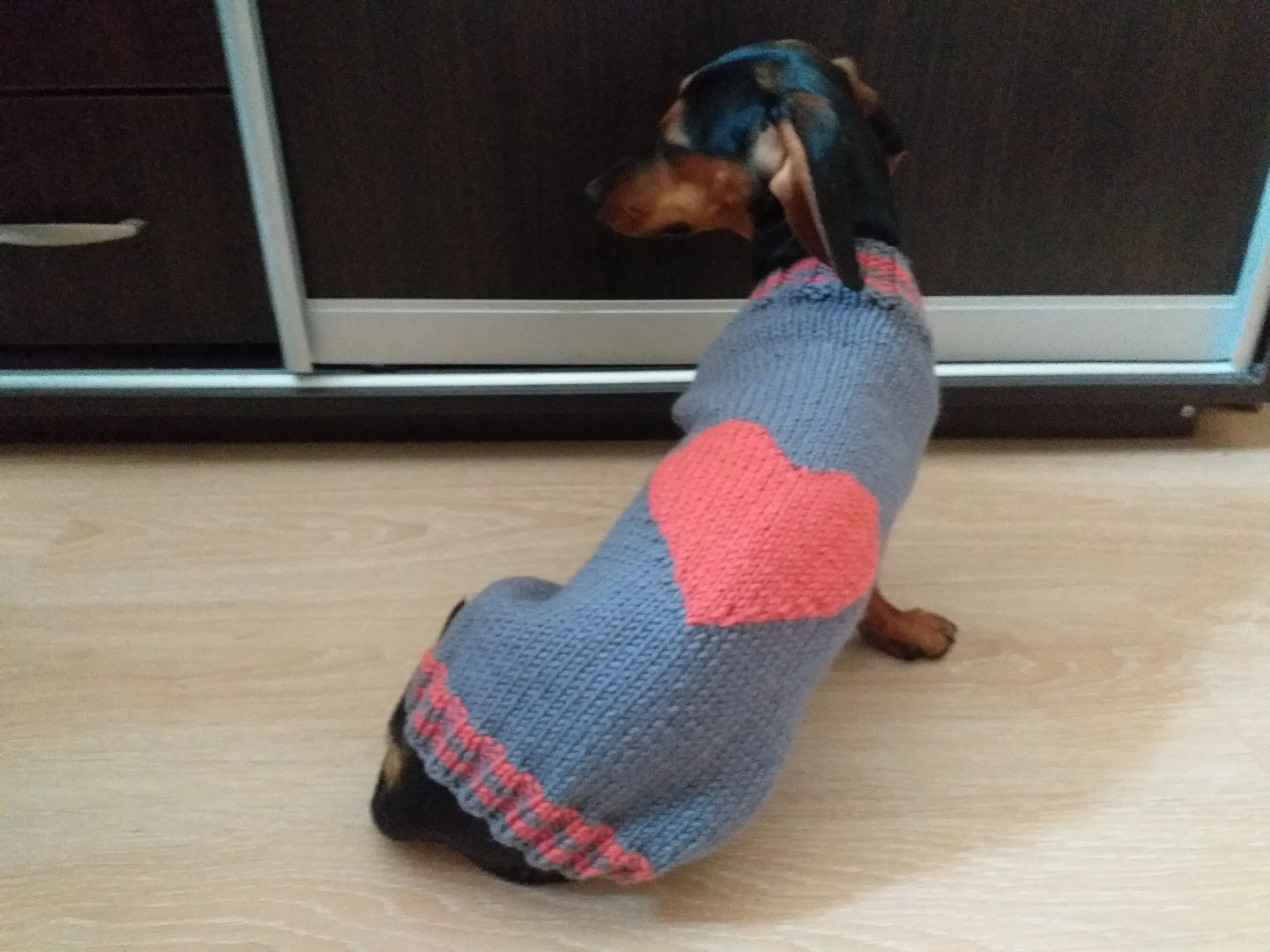 Heart Pet Clothes, Heart Dog Jumper, Gift for Pet Lovers