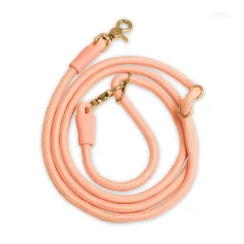 Infinity Leash