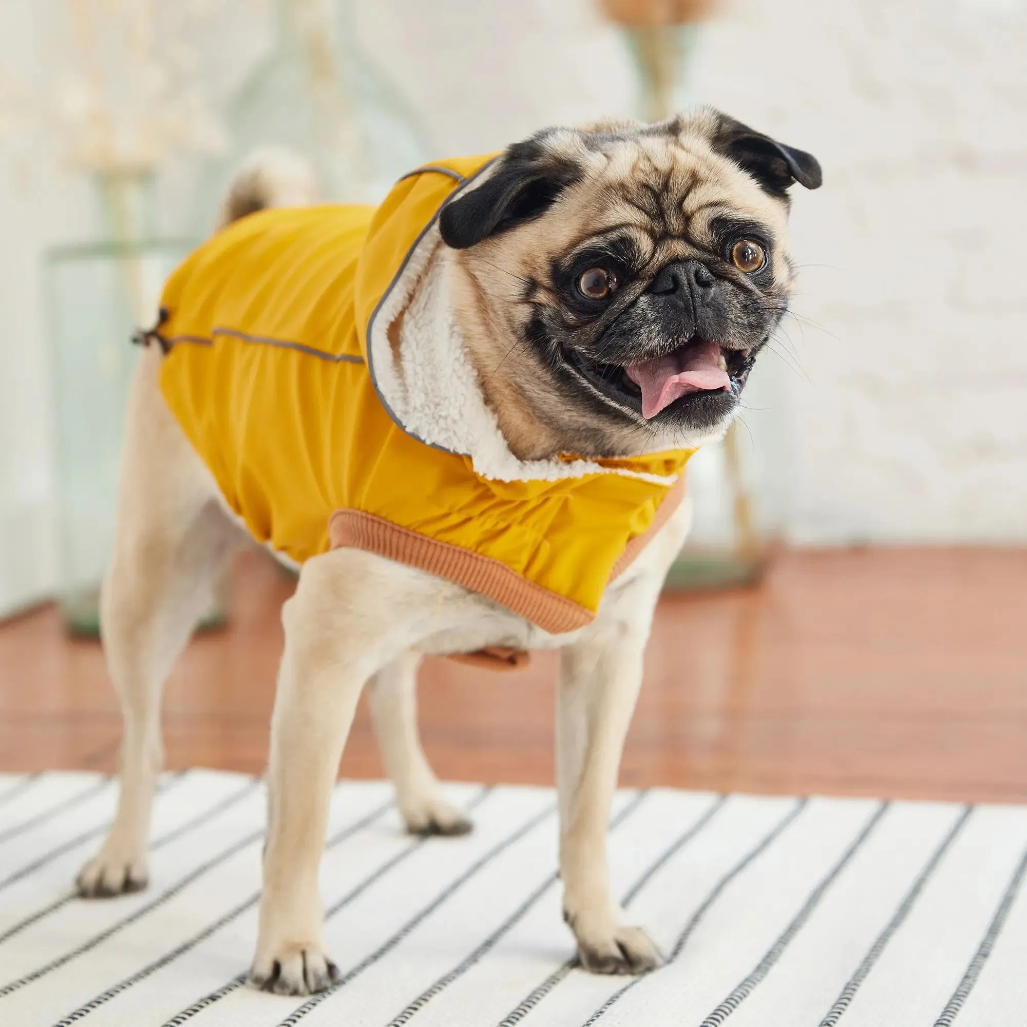 Insulated Dog Raincoat | Yellow