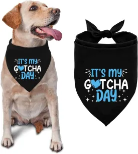 It's My Gotcha Day 