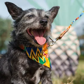 Kente Dog Bandana
