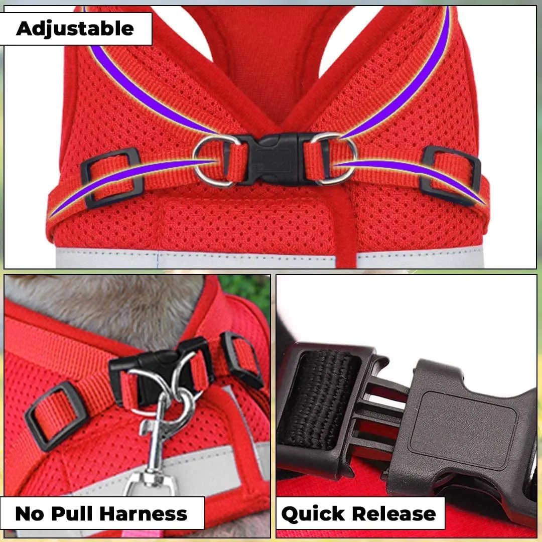 Kuber Industries 1 Double Hook Leash & 2 Dog Chest Harness with Nylon Leash I Strong Dog Rope Leash with Padded Handle | Adjustable Soft Padded and Breathable Dog Vest for Easy Control (Red, XL)