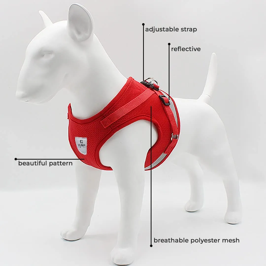 Kuber Industries 1 Double Hook Leash & 2 Dog Chest Harness with Nylon Leash I Strong Dog Rope Leash with Padded Handle | Adjustable Soft Padded and Breathable Dog Vest for Easy Control (Red, XL)