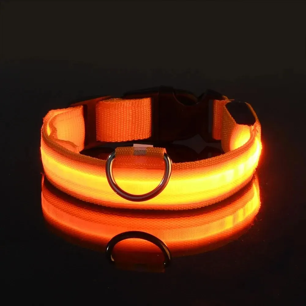 LED Night Safety Flashing Glow In The Dark Dog Collars Luminous Fluorescent Pet Dog Collar Nylon
