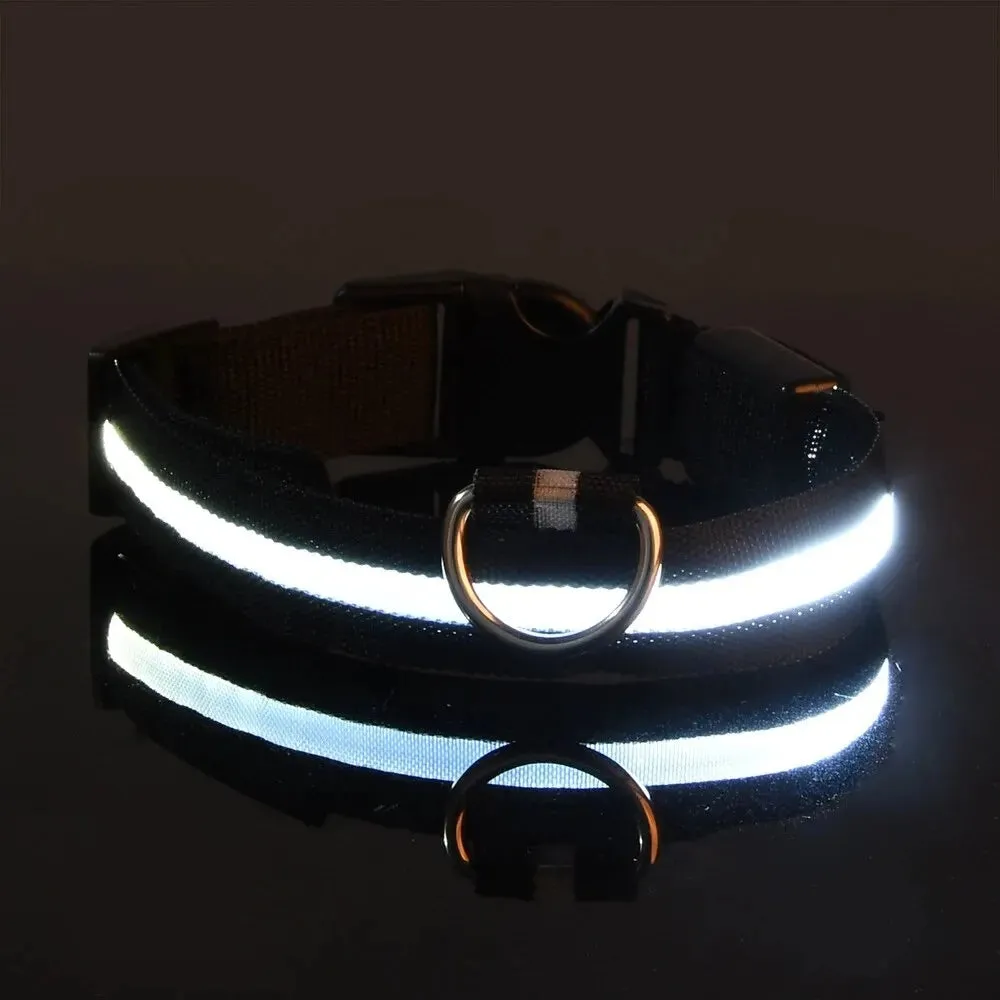 LED Night Safety Flashing Glow In The Dark Dog Collars Luminous Fluorescent Pet Dog Collar Nylon