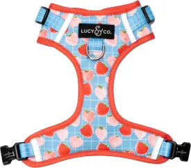 Lucy & Co. The Fresh Berries No-Pull Dog Harness  Size Small Vest to Stop Pulling & Walk Easy  Comfortable Leash Training Product w/Adjustable Chest & Neck Straps