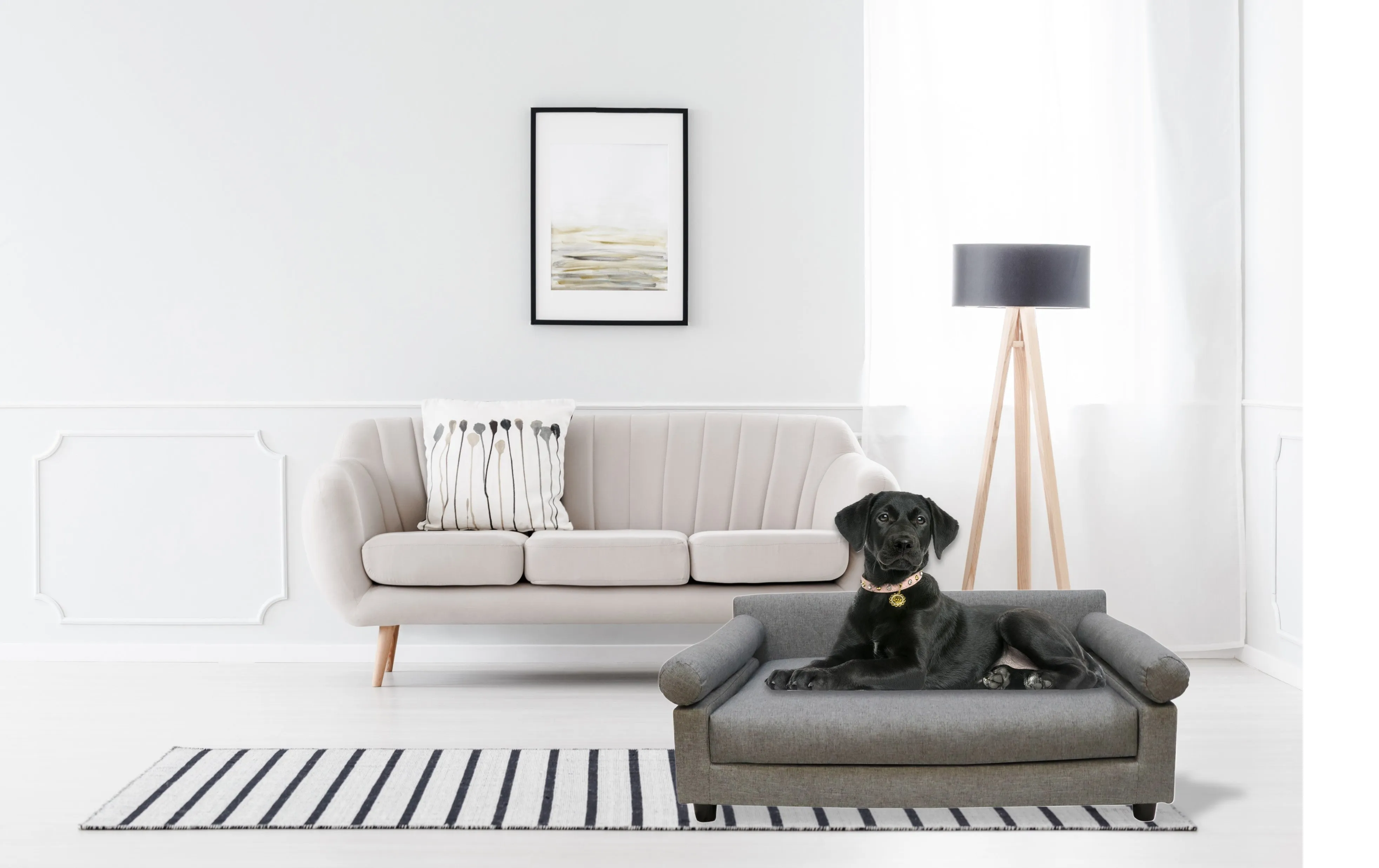 Metro Sofa Bed | Blake Dove