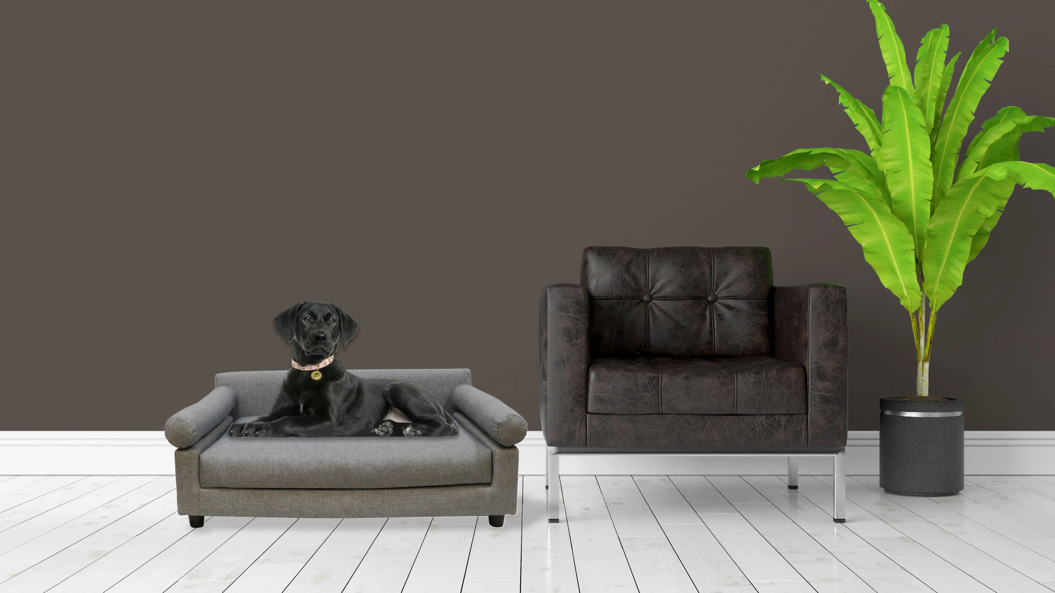 Metro Sofa Bed | Blake Dove