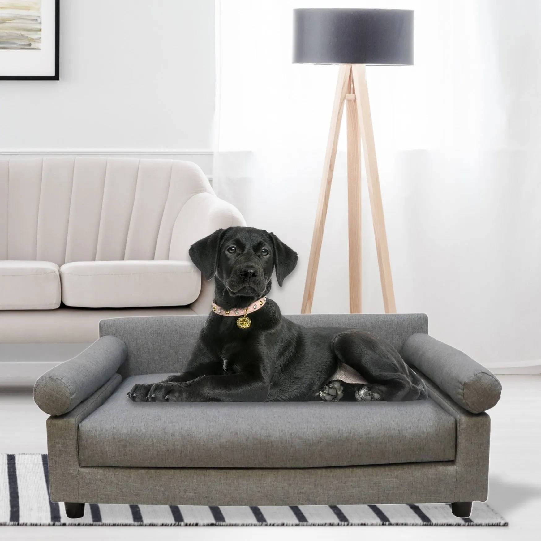 Metro Sofa Bed | Blake Dove
