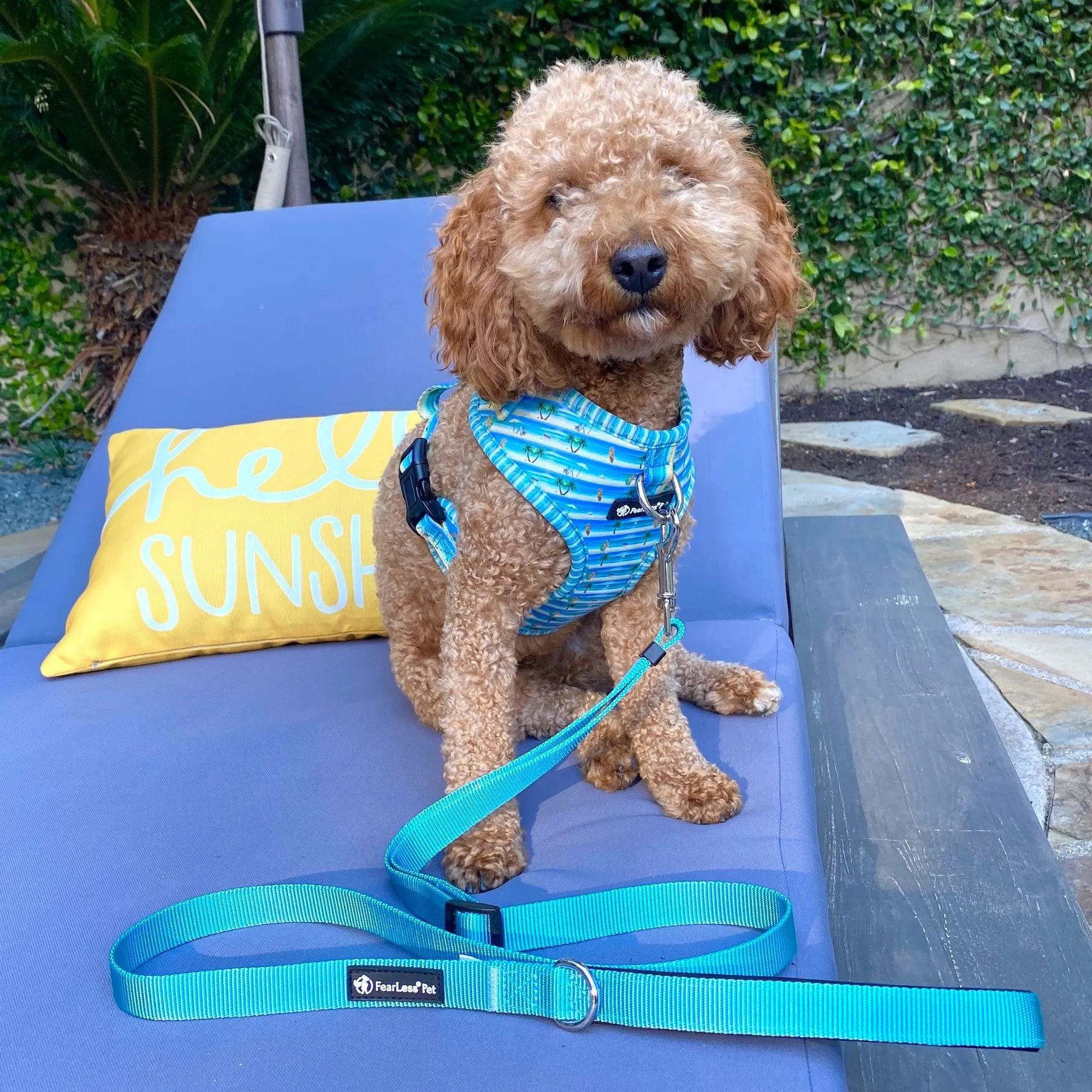 No Pull Pet Harness - Beach