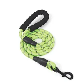 PAWS ASIA 2021 Manufacturers Dropshipping High Quality PVC Reflective Nylon Heavy Duty Luxury Running Rope Dog Leash
