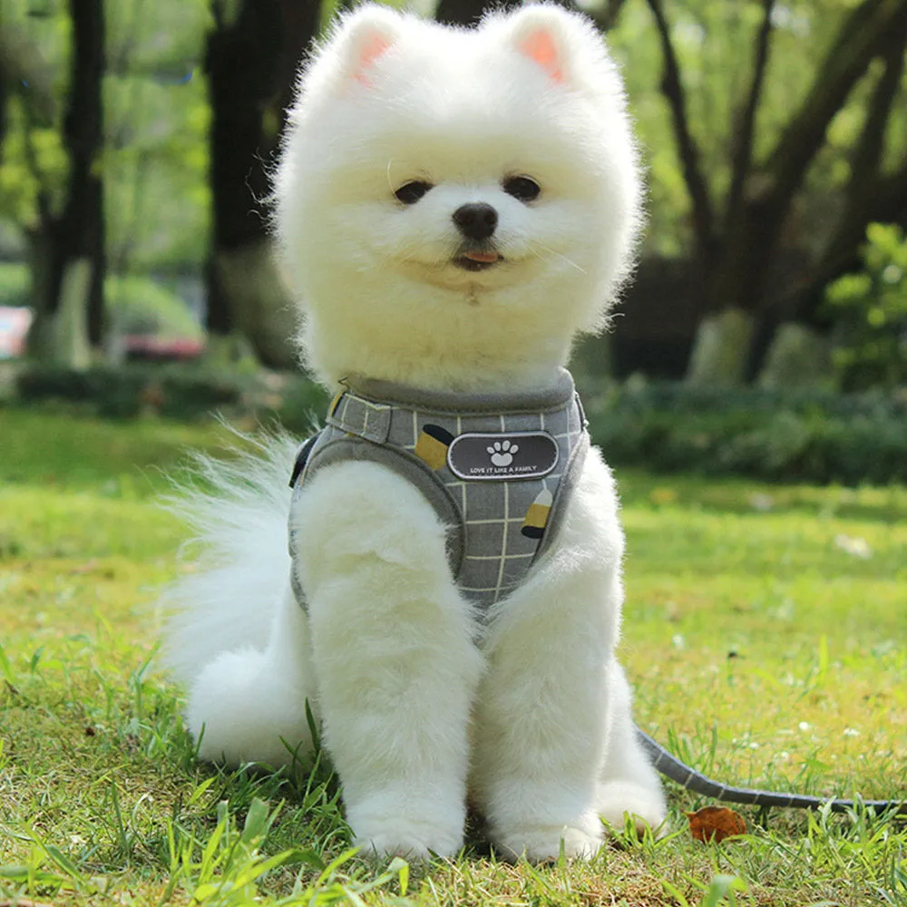 PAWS ASIA Factory Best Selling Reflective Mesh Unique Harness Dog Collar And Leash Set
