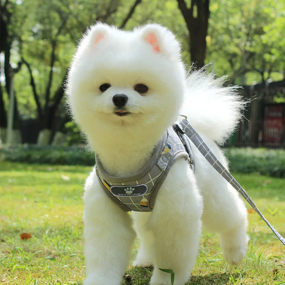 PAWS ASIA Factory Best Selling Reflective Mesh Unique Harness Dog Collar And Leash Set