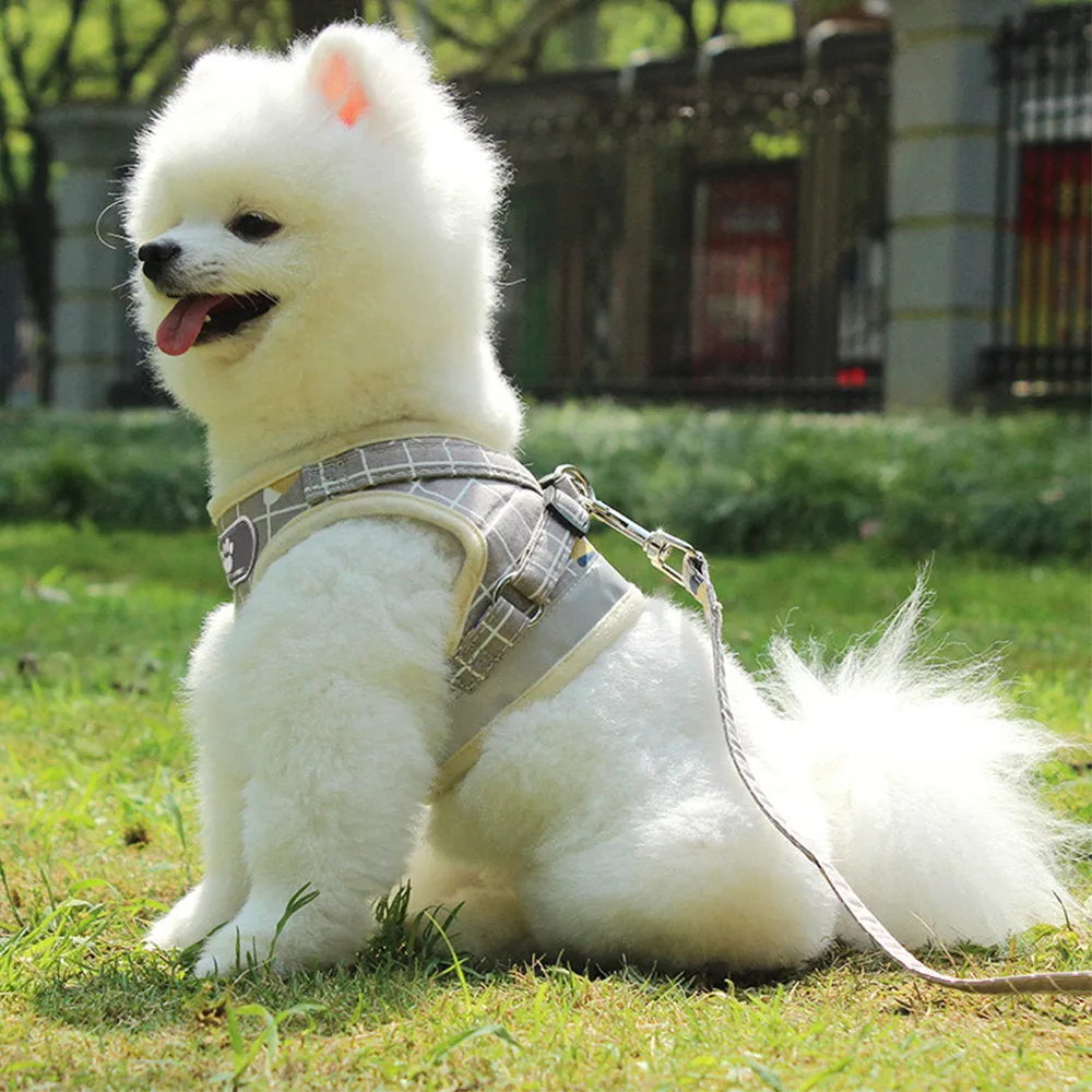 PAWS ASIA Factory Best Selling Reflective Mesh Unique Harness Dog Collar And Leash Set