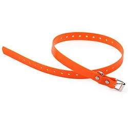 PAWS ASIA Manufacturers Cheap Custom Logo High Quality TPU Adjustable Training Dog Collar