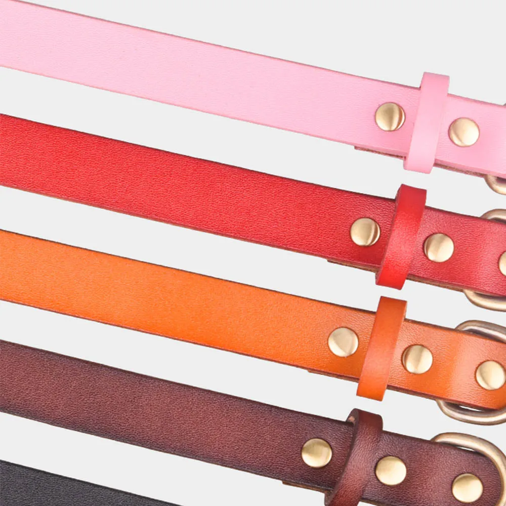 PAWS ASIA Wholesale Leather Fashion Luxury Personalized Anti Bite Spiked Studded Dog Collar Cat