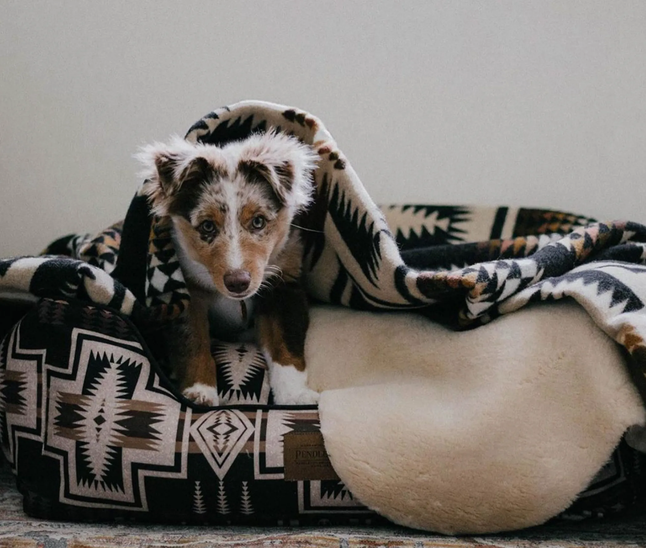 Pendleton Classics Cuddler | Harding