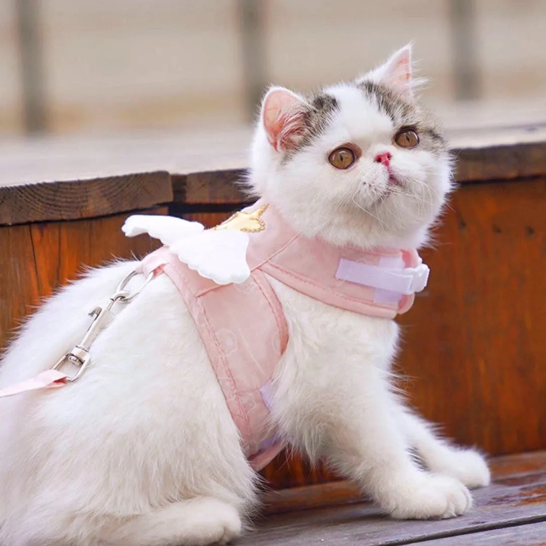 Pet Harness And Leash For Cats And Dogs