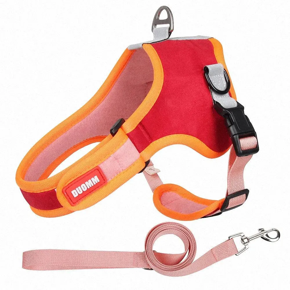 Pet Harness with Leash