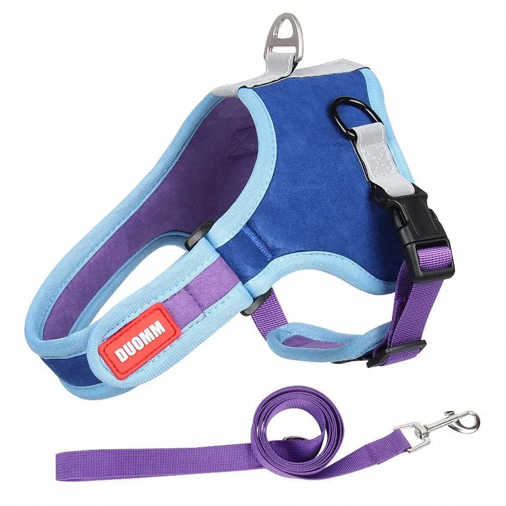 Pet Harness with Leash