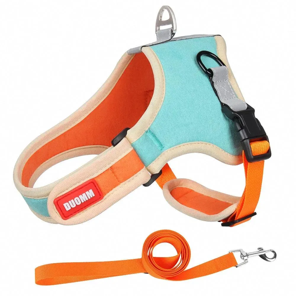 Pet Harness with Leash