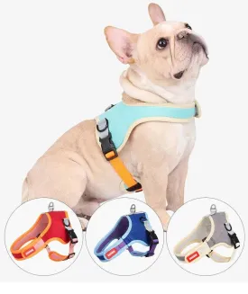 Pet Harness with Leash