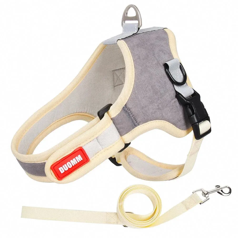 Pet Harness with Leash
