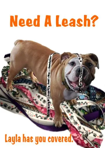 Pet Leash Large