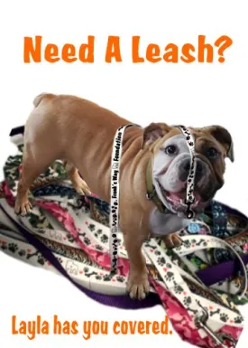 Pet Leash Large