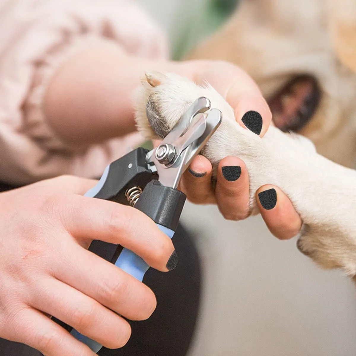 Pet Nail Clippers and Trimmers Set Safety Guard to Avoid Over Cutting Razor Sharp Blades Grooming Tool for All Small Large Dog Cat Blue
