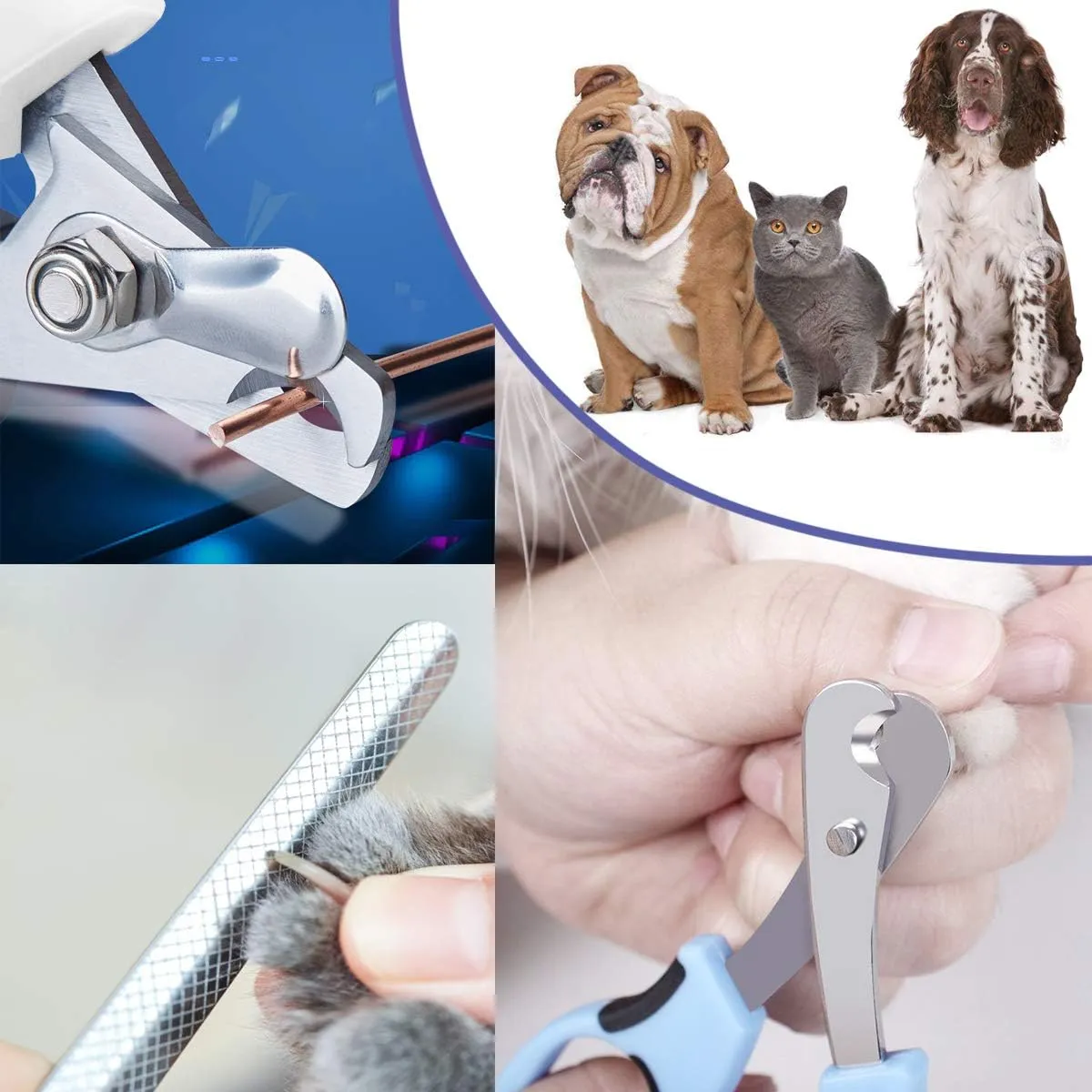 Pet Nail Clippers and Trimmers Set Safety Guard to Avoid Over Cutting Razor Sharp Blades Grooming Tool for All Small Large Dog Cat Blue