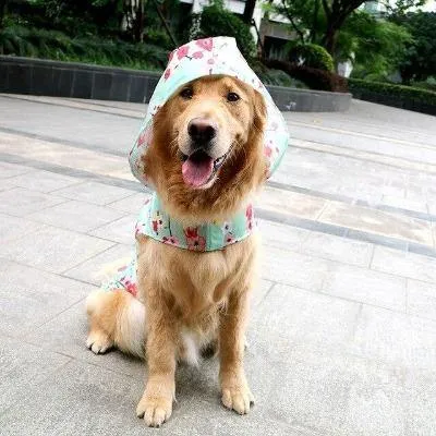 Pet Raincoat Lightweight Hoody Jacket