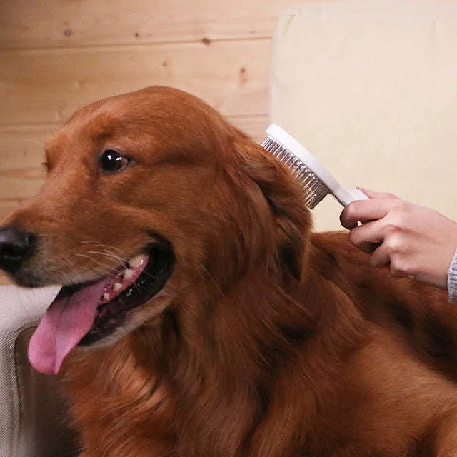 Pet Rake Comb for smooth and tangle-free coats Care