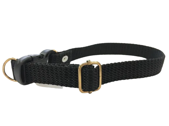 Plain Dog Collar for Medium Breeds