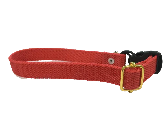 Plain Dog Collar for Medium Breeds