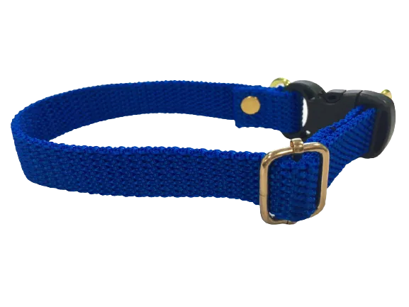 Plain Dog Collar for Medium Breeds
