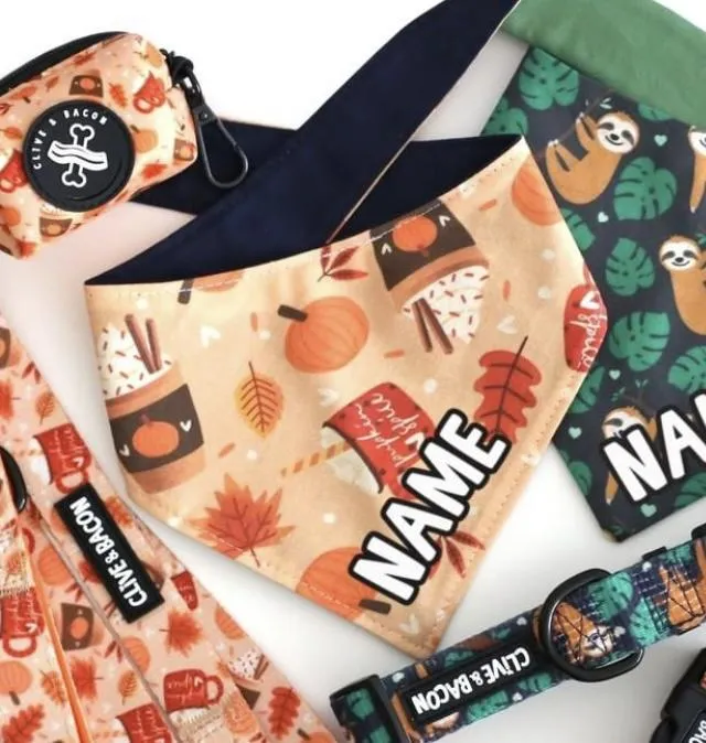 Pupkin Spice Dog Bandana