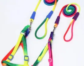 Rainbow Dog Harness with Leash