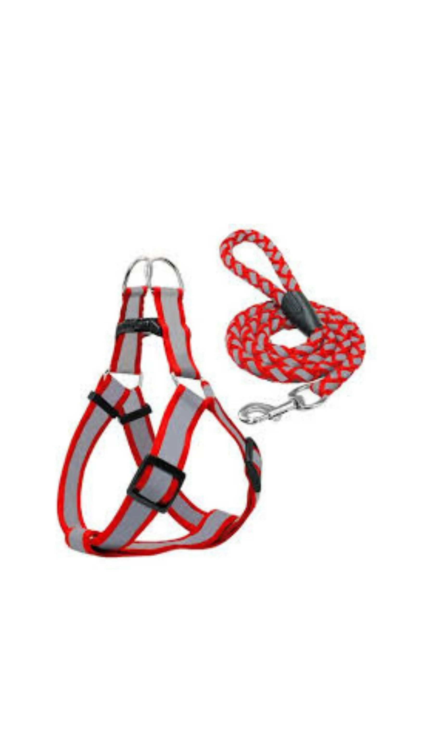 Reflective Harness with Leash