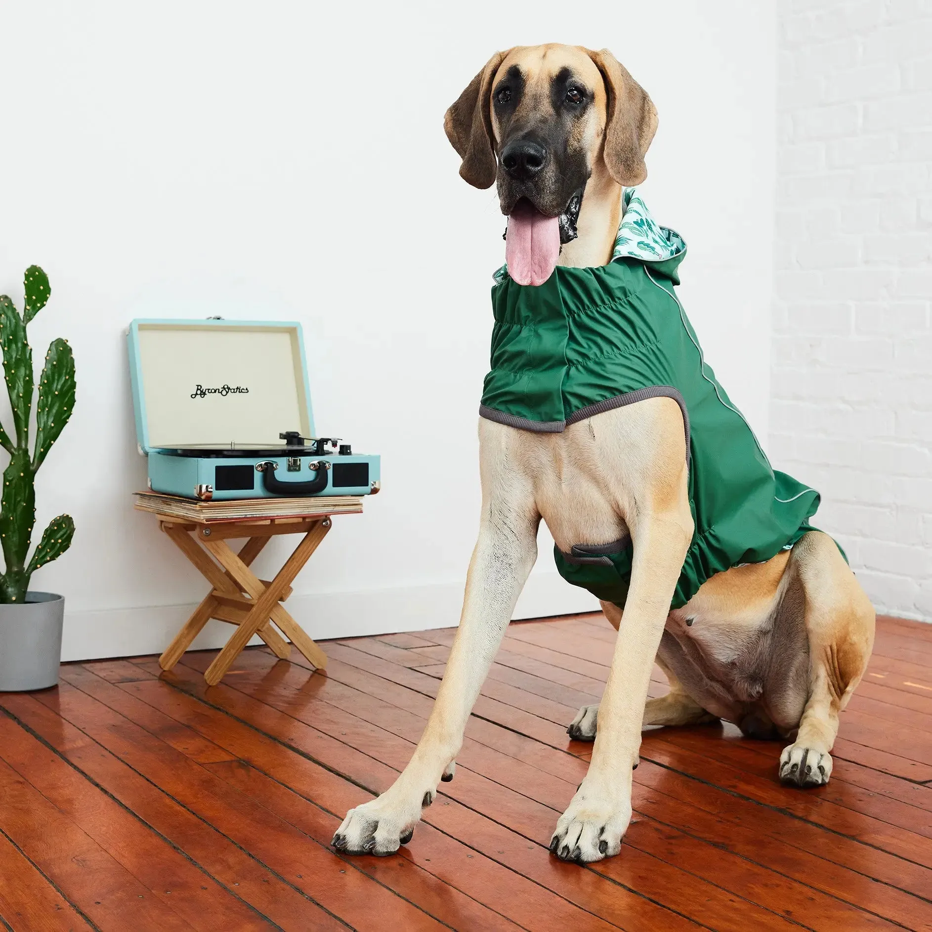 Reversible Dog Raincoat | Green Cactus