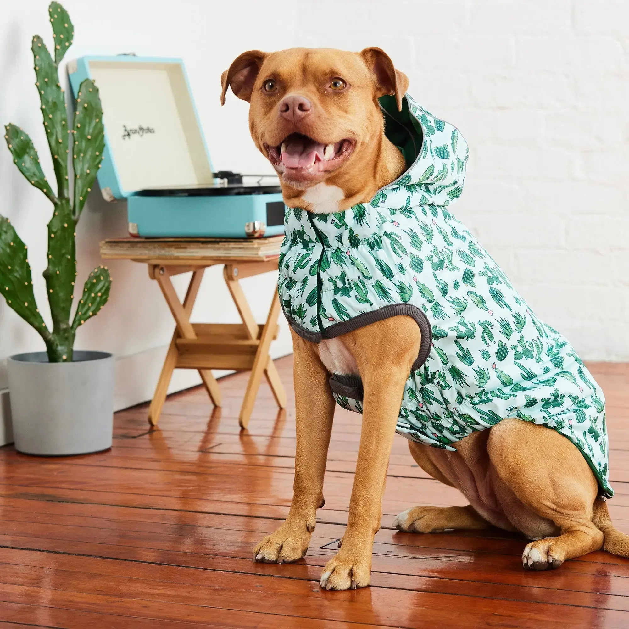 Reversible Dog Raincoat | Green Cactus