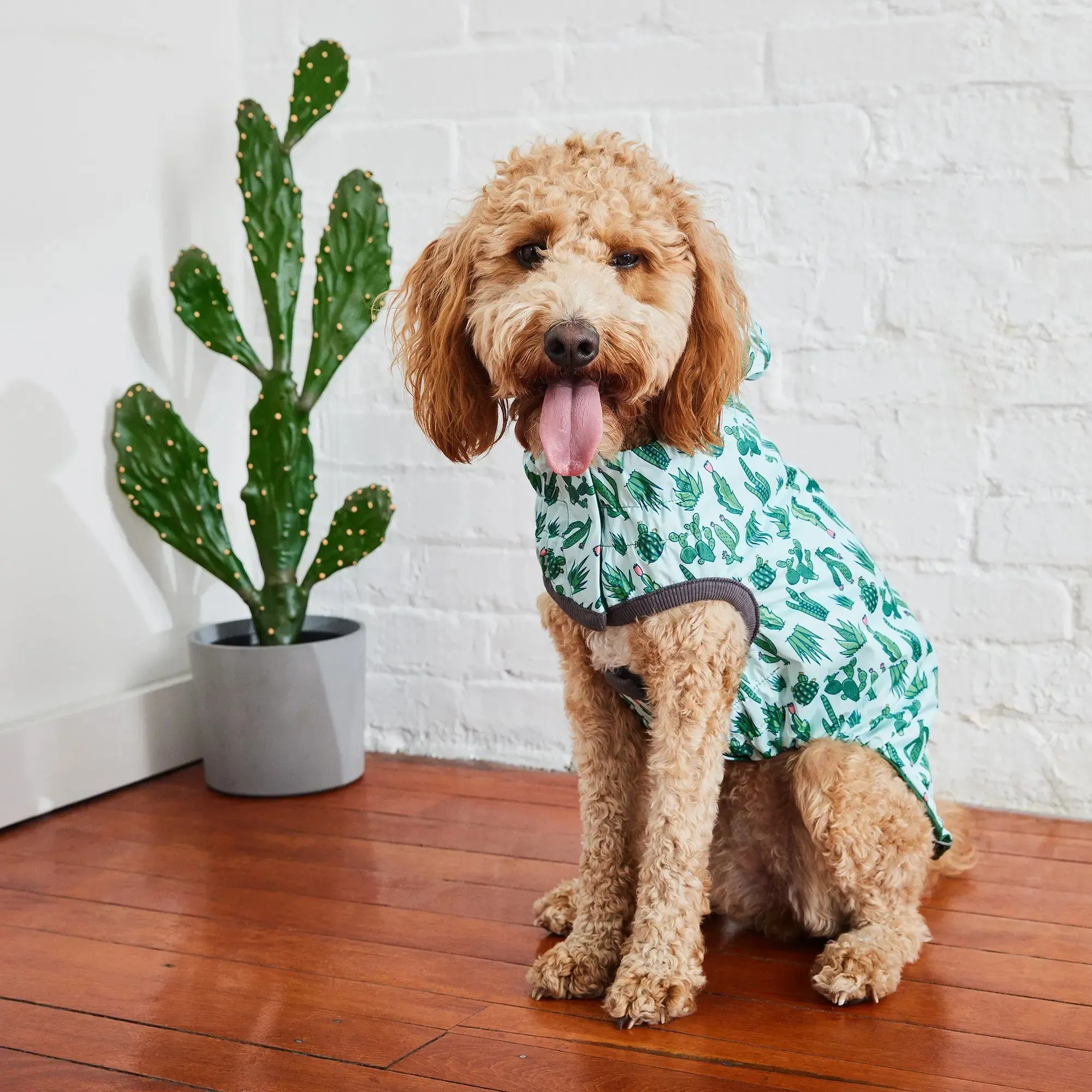 Reversible Dog Raincoat | Green Cactus