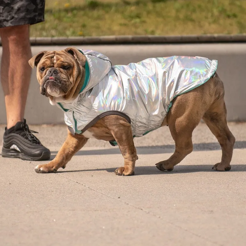 Reversible Neon Aqua & Iridescent Raincoat for Dogs